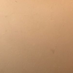 Meet your Posher, Isabella